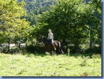 Rider bare back on a horse on a trailriding for beginners program.